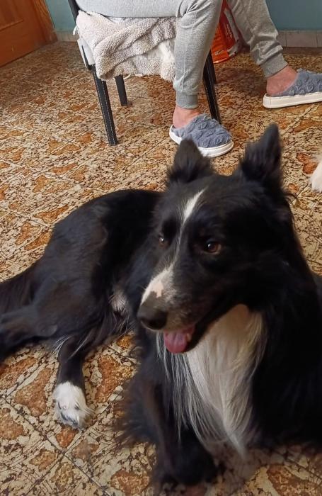 REX 2* (CASO EXTERNO)