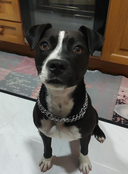 ARES 10* (CASO EXTERNO)