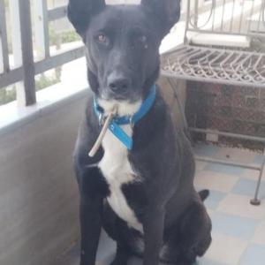 KIARA 7* (CASO EXTERNO)