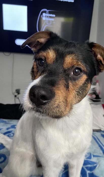 ROCKY 16* (CASO EXTERNO)