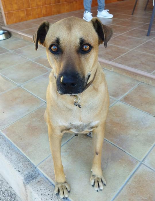 MILO 5* (CASO EXTERNO)