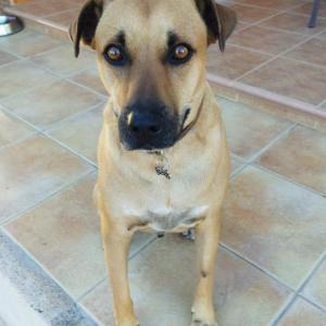 MILO 5* (CASO EXTERNO)