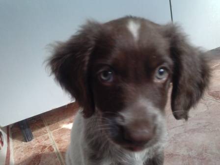Cuqui* Cuqui*