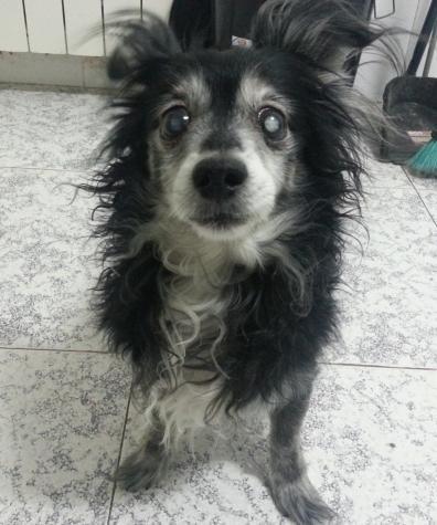 GUAPO*