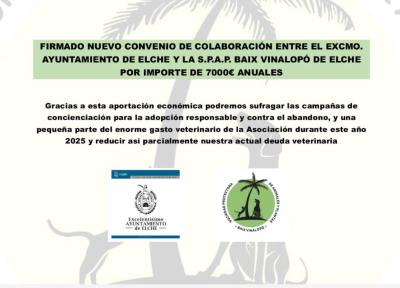 FIRMAMOS NUEVO  CONVENIO DE COLABORACION CON EL AYUNTAMIENTO DE ELCHE PARA 2025